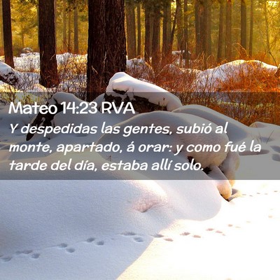 Picture 02 - Mateo 14:23 RVA - Y despedidas las gentes, subió al monte, - Bible Verse Picture