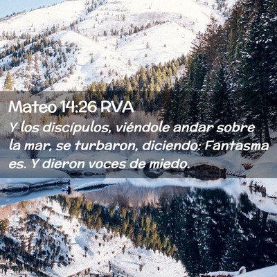 Picture 02 - Mateo 14:26 RVA - Y los discípulos, viéndole andar sobre la mar, - Bible Verse Picture