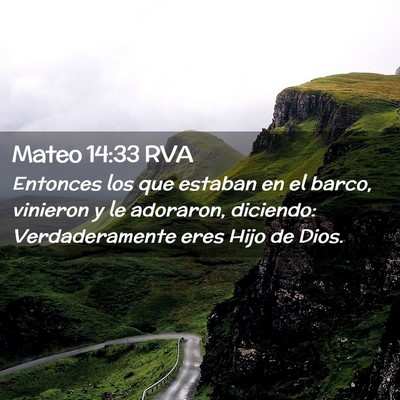 Picture 02 - Mateo 14:33 RVA - Entonces los que estaban en el barco, vinieron y - Bible Verse Picture