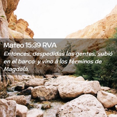 Picture 02 - Mateo 15:39 RVA - Entonces, despedidas las gentes, subió en el - Bible Verse Picture