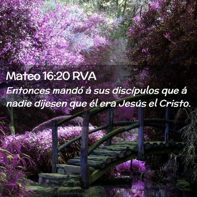 Picture 02 - Mateo 16:20 RVA - Entonces mandó á sus discípulos que á nadie - Bible Verse Picture