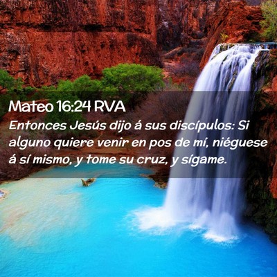 Picture 02 - Mateo 16:24 RVA - Entonces Jesús dijo á sus discípulos: Si - Bible Verse Picture