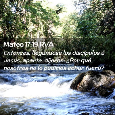 Picture 02 - Mateo 17:19 RVA - Entonces, llegándose los discípulos á Jesús, - Bible Verse Picture