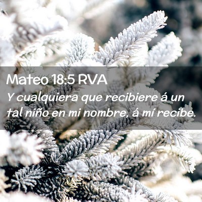 Picture 02 - Mateo 18:5 RVA - Y cualquiera que recibiere á un tal niño en mi - Bible Verse Picture