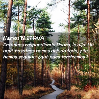 Picture 02 - Mateo 19:27 RVA - Entonces respondiendo Pedro, le dijo: He aquí, - Bible Verse Picture