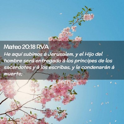 Picture 02 - Mateo 20:18 RVA - He aquí subimos á Jerusalem, y el Hijo del - Bible Verse Picture