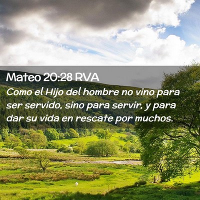 Picture 02 - Mateo 20:28 RVA - Como el Hijo del hombre no vino para ser servido, - Bible Verse Picture