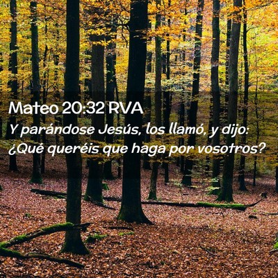 Picture 02 - Mateo 20:32 RVA - Y parándose Jesús, los llamó, y dijo: ¿Qué - Bible Verse Picture