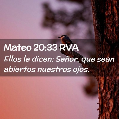 Picture 02 - Mateo 20:33 RVA - Ellos le dicen: Señor, que sean abiertos - Bible Verse Picture