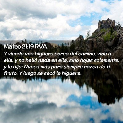 Picture 02 - Mateo 21:19 RVA - Y viendo una higuera cerca del camino, vino á - Bible Verse Picture