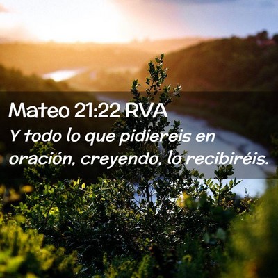 Picture 02 - Mateo 21:22 RVA - Y todo lo que pidiereis en oración, creyendo, lo - Bible Verse Picture
