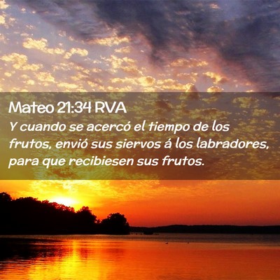 Picture 02 - Mateo 21:34 RVA - Y cuando se acercó el tiempo de los frutos, - Bible Verse Picture