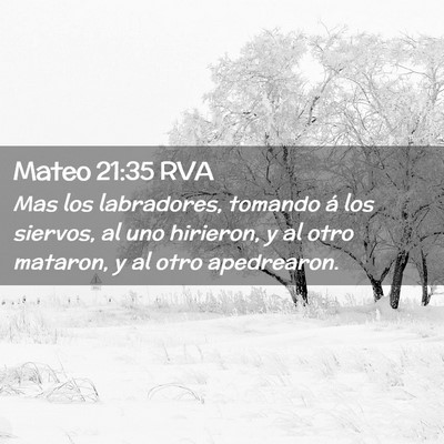 Picture 02 - Mateo 21:35 RVA - Mas los labradores, tomando á los siervos, al - Bible Verse Picture