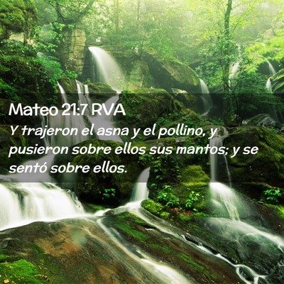 Picture 02 - Mateo 21:7 RVA - Y trajeron el asna y el pollino, y pusieron sobre - Bible Verse Picture