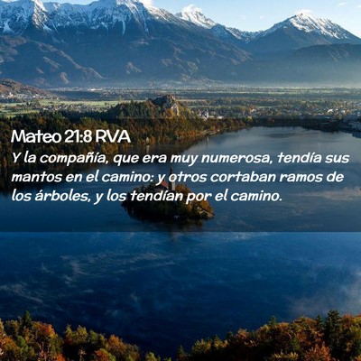 Picture 02 - Mateo 21:8 RVA - Y la compañía, que era muy numerosa, tendía - Bible Verse Picture