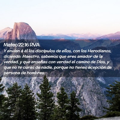 Picture 02 - Mateo 22:16 RVA - Y envían á él los discípulos de ellos, con - Bible Verse Picture