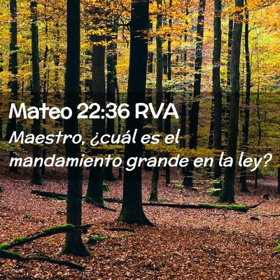 Picture 02 - Mateo 22:36 RVA - Maestro, ¿cuál es el mandamiento grande en la - Bible Verse Picture