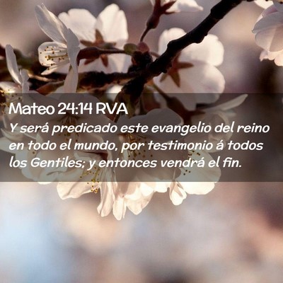 Picture 02 - Mateo 24:14 RVA - Y será predicado este evangelio del reino en - Bible Verse Picture