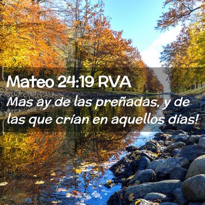 Picture 02 - Mateo 24:19 RVA - Mas ­ay de las preñadas, y de las que crían en - Bible Verse Picture