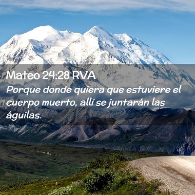 Picture 02 - Mateo 24:28 RVA - Porque donde quiera que estuviere el cuerpo - Bible Verse Picture