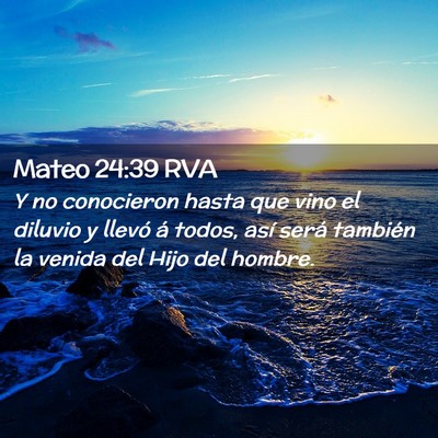 Picture 02 - Mateo 24:39 RVA - Y no conocieron hasta que vino el diluvio y - Bible Verse Picture