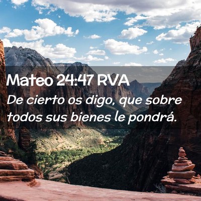 Picture 02 - Mateo 24:47 RVA - De cierto os digo, que sobre todos sus bienes le - Bible Verse Picture