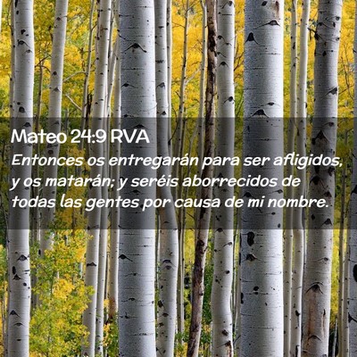 Picture 02 - Mateo 24:9 RVA - Entonces os entregarán para ser afligidos, y os - Bible Verse Picture