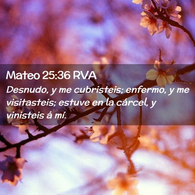 Picture 02 - Mateo 25:36 RVA - Desnudo, y me cubristeis; enfermo, y me - Bible Verse Picture