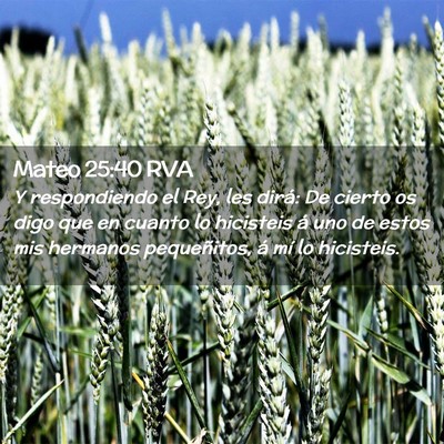 Picture 02 - Mateo 25:40 RVA - Y respondiendo el Rey, les dirá: De cierto os - Bible Verse Picture