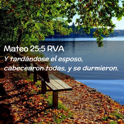 Picture 02 - Mateo 25:5 RVA - Y tardándose el esposo, cabecearon todas, y se - Bible Verse Picture