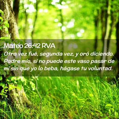 Picture 02 - Mateo 26:42 RVA - Otra vez fué, segunda vez, y oró diciendo. - Bible Verse Picture