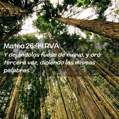 Picture 02 - Mateo 26:44 RVA - Y dejándolos fuése de nuevo, y oró tercera - Bible Verse Picture