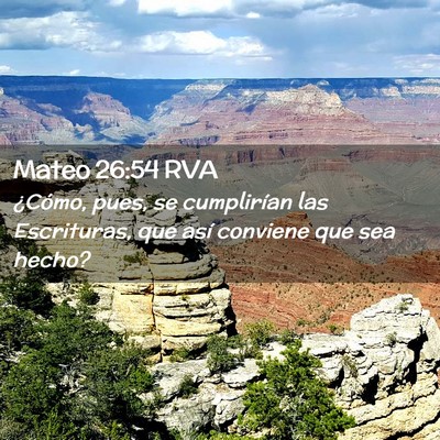 Picture 02 - Mateo 26:54 RVA - ¿Cómo, pues, se cumplirían las Escrituras, que - Bible Verse Picture
