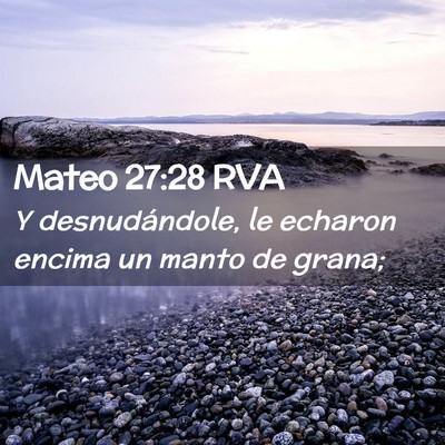 Picture 02 - Mateo 27:28 RVA - Y desnudándole, le echaron encima un manto de - Bible Verse Picture
