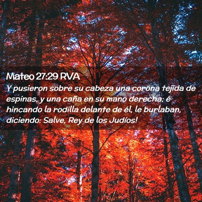 Picture 02 - Mateo 27:29 RVA - Y pusieron sobre su cabeza una corona tejida de - Bible Verse Picture