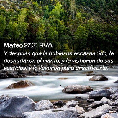 Picture 02 - Mateo 27:31 RVA - Y después que le hubieron escarnecido, le - Bible Verse Picture