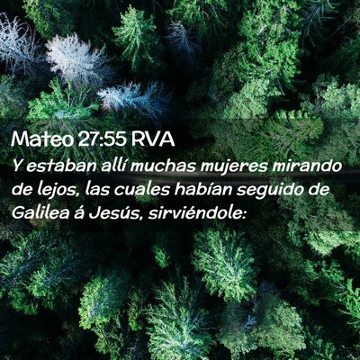 Picture 02 - Mateo 27:55 RVA - Y estaban allí muchas mujeres mirando de lejos, - Bible Verse Picture