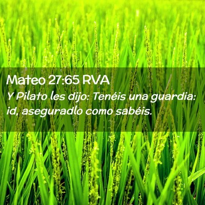Picture 02 - Mateo 27:65 RVA - Y Pilato les dijo: Tenéis una guardia: id, - Bible Verse Picture