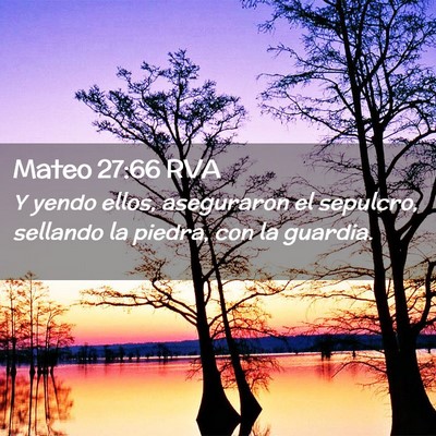 Picture 02 - Mateo 27:66 RVA - Y yendo ellos, aseguraron el sepulcro, sellando - Bible Verse Picture