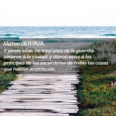 Picture 02 - Mateo 28:11 RVA - Y yendo ellas, he aquí unos de la guardia - Bible Verse Picture