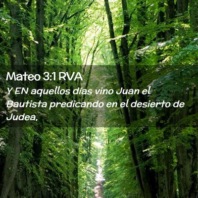 Picture 02 - Mateo 3:1 RVA - Y EN aquellos días vino Juan el Bautista - Bible Verse Picture
