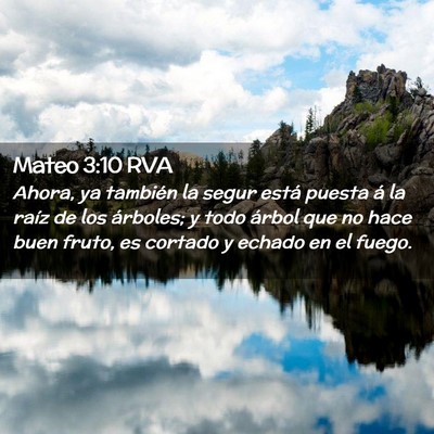 Picture 02 - Mateo 3:10 RVA - Ahora, ya también la segur está puesta á la - Bible Verse Picture
