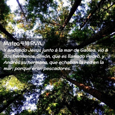Picture 02 - Mateo 4:18 RVA - Y andando Jesús junto á la mar de Galilea, vió - Bible Verse Picture