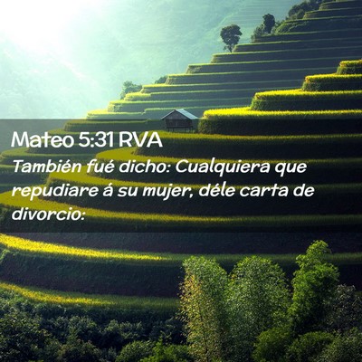 Picture 02 - Mateo 5:31 RVA - También fué dicho: Cualquiera que repudiare á - Bible Verse Picture