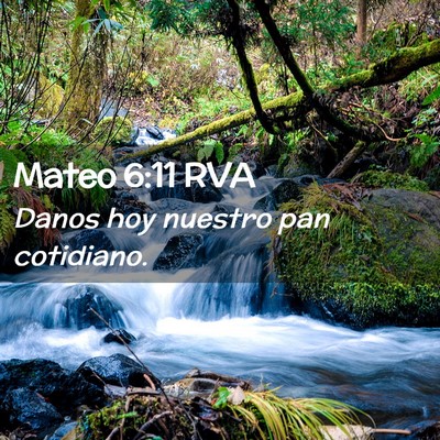 Picture 02 - Mateo 6:11 RVA - Danos hoy nuestro pan - Bible Verse Picture