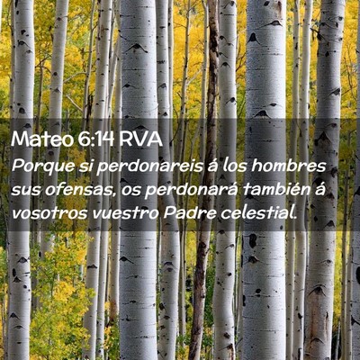 Picture 02 - Mateo 6:14 RVA - Porque si perdonareis á los hombres sus ofensas, - Bible Verse Picture