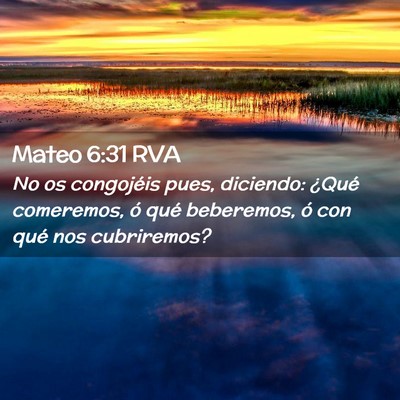 Picture 02 - Mateo 6:31 RVA - No os congojéis pues, diciendo: ¿Qué - Bible Verse Picture