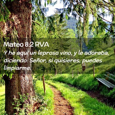 Picture 02 - Mateo 8:2 RVA - Y he aquí un leproso vino, y le adoraba, - Bible Verse Picture