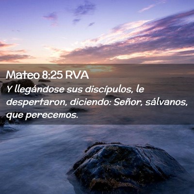 Picture 02 - Mateo 8:25 RVA - Y llegándose sus discípulos, le despertaron, - Bible Verse Picture