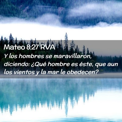 Picture 02 - Mateo 8:27 RVA - Y los hombres se maravillaron, diciendo: ¿Qué - Bible Verse Picture